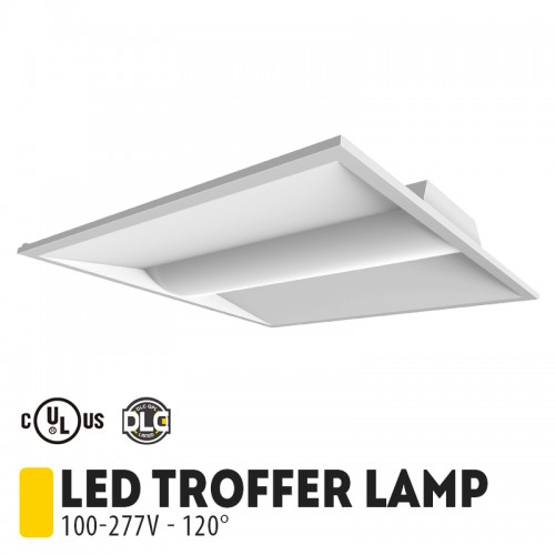myledguy