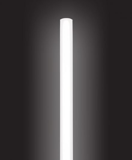 myledguy