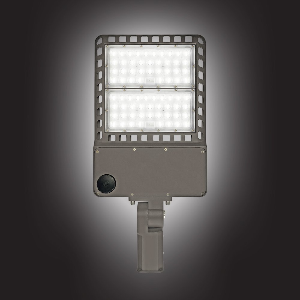 myledguy