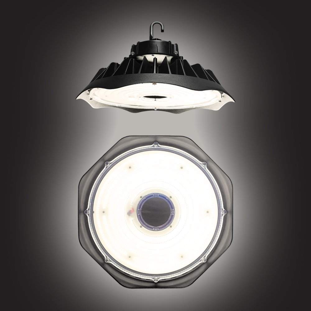 myledguy