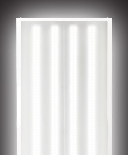myledguy