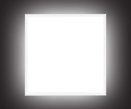 myledguy