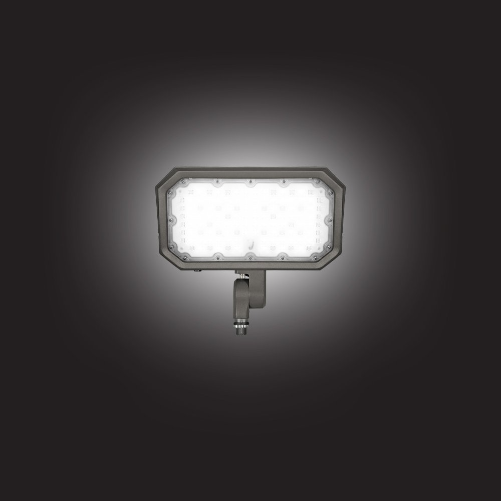 myledguy